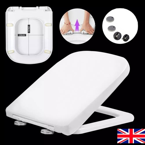 Luxury square toilet - square, seat