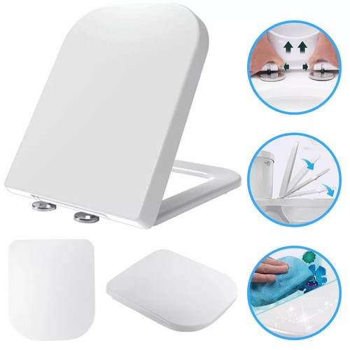 Luxury square toilet - luxury,