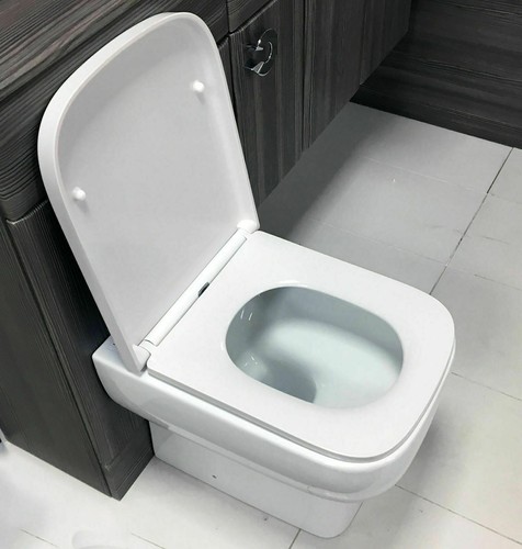 Luxury square toilet - luxury,